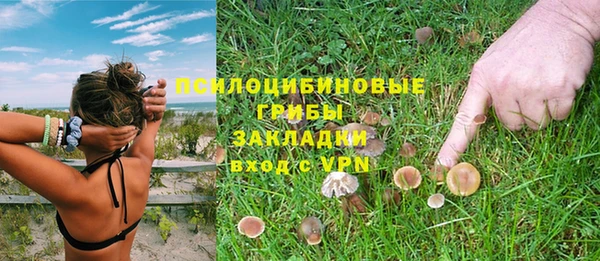 гидра Протвино