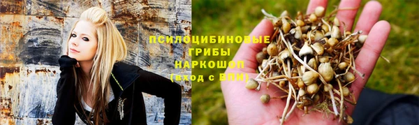 гидра Протвино